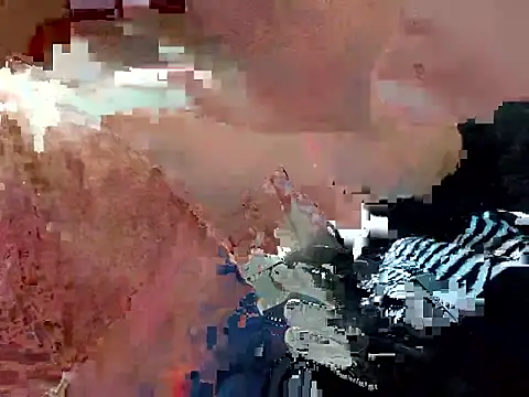 Snapshot of Earth_001 chatting on 10.17.25 Earth 001 online show from 10.17.25