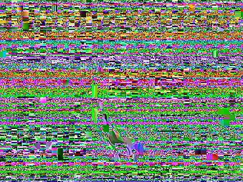 Dilfcam101 online show from 03.25.26