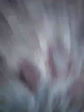 Aliyeni1 online show from 04.17.26