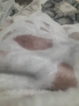 Snapshot of ratoncito_3 chatting on 01.16.26 ratoncito 3 online show from 01.16.26