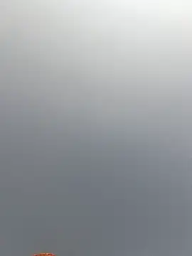 Cut rajbati online show from 11.29.25