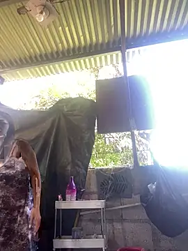 Snapshot of wildpussycat69 chatting on 04.16.26 wildpussycat69 online show from 04.16.26