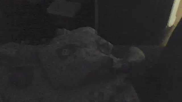 sarahkat86 online show from 11.13.25