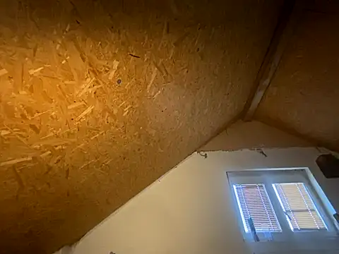 Salon1986 online show from 11.07.25