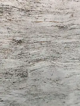 hot plak online show from 11.30.25