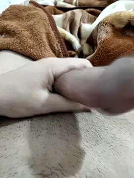 Zepe 12 online show from 02.10.26