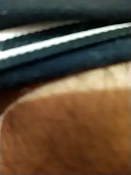 Snapshot of 8inches_DelhiBOY chatting on 11.17.25 8inches DelhiBOY online show from 11.17.25