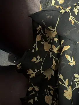 Snapshot of HiddenHoneyLDN chatting on 02.09.26 HiddenHoneyLDN online show from 02.09.26