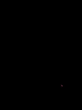 lilldickyyy online show from 04.26.26