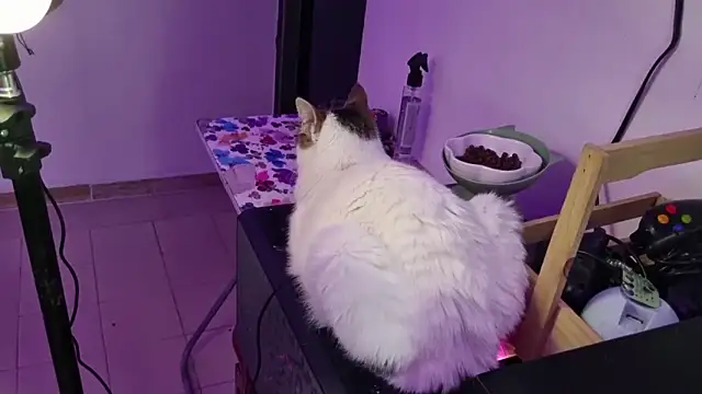 Lovers cave online show from 12.19.25