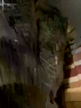 Snapshot of anhye8 chatting on 02.08.26 anhye8 online show from 02.08.26