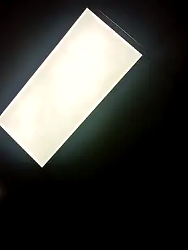 Longthickdick33 online show from 10.12.25