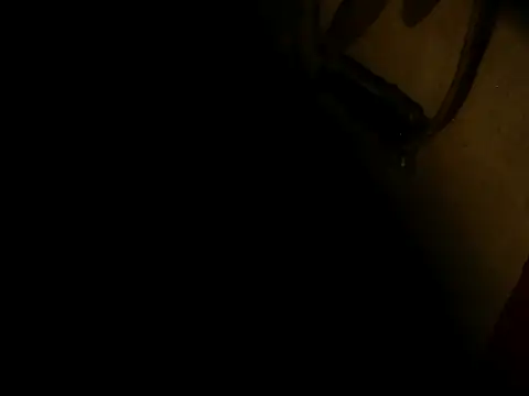 PIGBABY-LOVE online show from 10.11.25