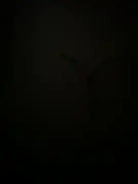 Snapshot of succy33 chatting on 10.07.25 succy33 online show from 10.07.25