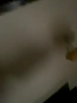 Snapshot of succy33 chatting on 10.15.25 succy33 online show from 10.15.25