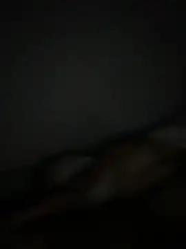 Snapshot of Smallboybigworld chatting on 02.11.26 Smallboybigworld online show from 02.11.26