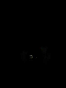 philefc online show from 11.03.25