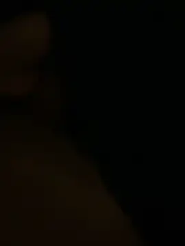 gaabpxn online show from 11.28.25