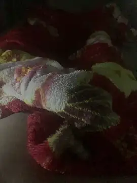 gaabpxn online show from 04.11.26