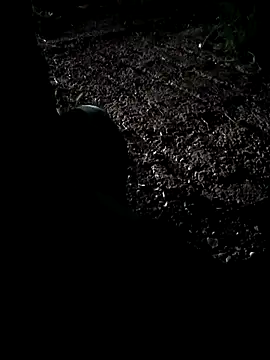 mhdai1208 online show from 05.03.26