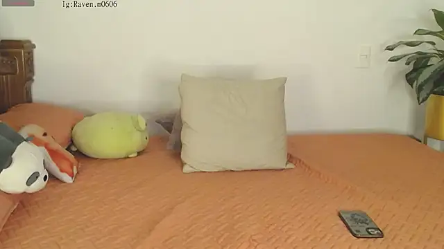 Raven06  online show from 11.11.25