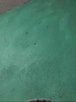 carlo20n online show from 10.15.25