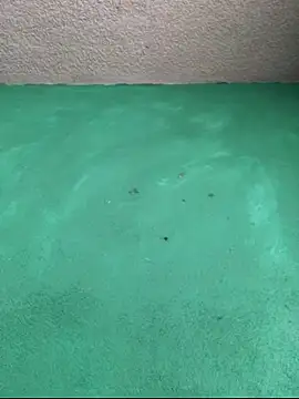 carlo20n online show from 10.16.25