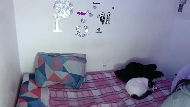 EvaHarryy online show from 04.01.26