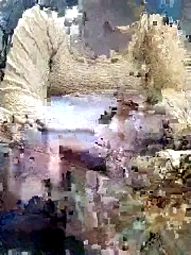 Gopika Dudi online show from 03.02.26