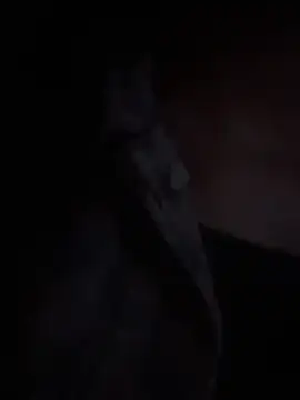 LilybethGray online show from 11.19.25