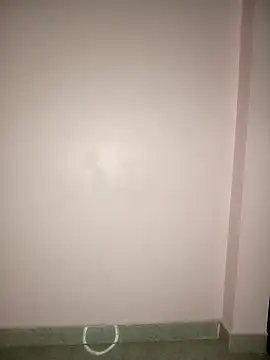 Sonalisiya online show from 10.27.25