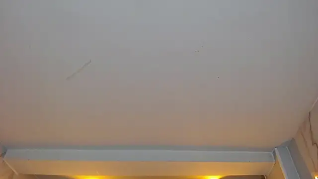 Snapshot of dania_b_ chatting on 10.19.25 dania b online show from 10.19.25