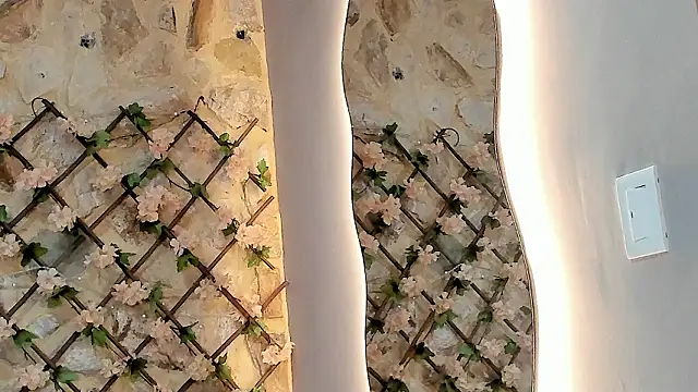 VenusBlazer online show from 02.07.26