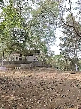 yung cplz online show from 02.07.26