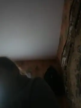 Romashka33011 online show from 03.31.26