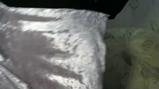 LedyNika online show from 03.16.26