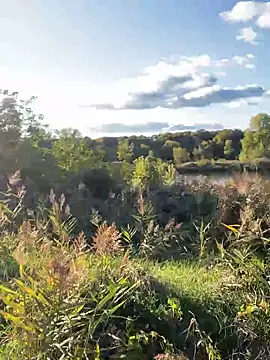 FavoriteKira online show from 09.20.25