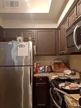 Snapshot of PremiumKitty chatting on 02.20.26 PremiumKitty online show from 02.20.26