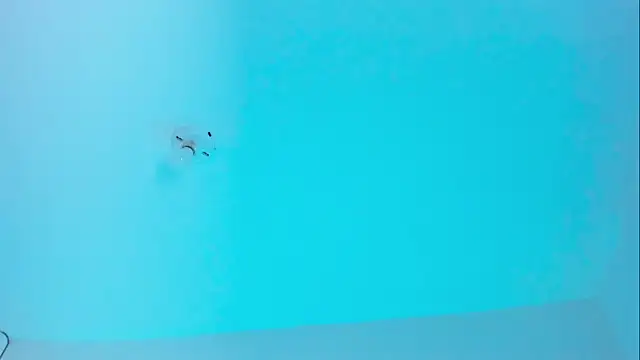 Ellope  online show from 11.19.25