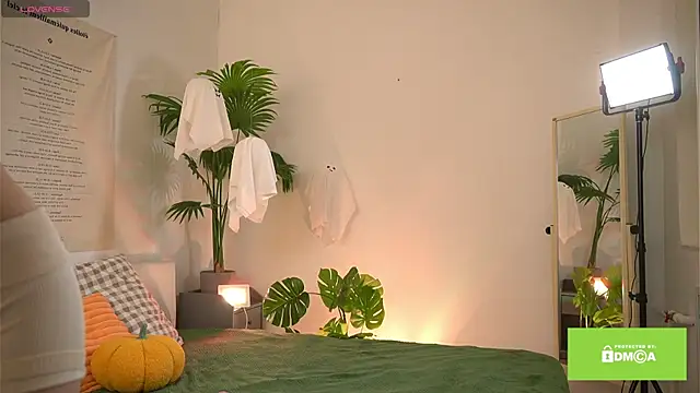 swtty meivi online show from 10.25.25