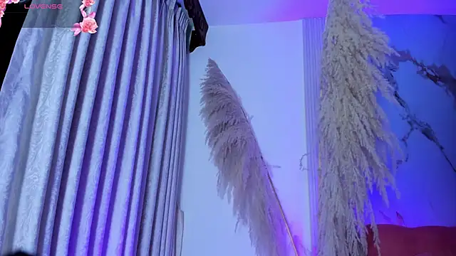 ShaunaDream online show from 11.16.25