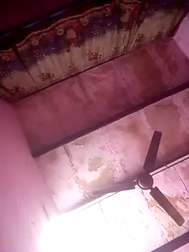 TINASONI online show from 04.01.26