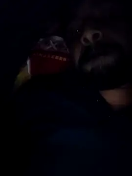 Snapshot of Sexyhotboy7inch chatting on 11.21.25 Sexyhotboy7inch online show from 11.21.25