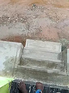 dolphiinn online show from 10.16.25