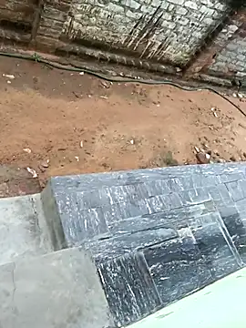 dolphiinn online show from 10.17.25