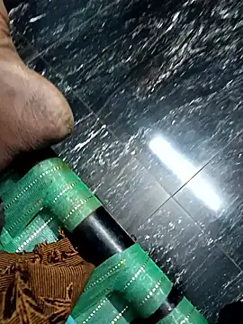 dolphiinn online show from 11.04.25