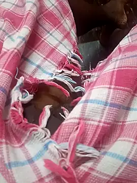 dolphiinn online show from 11.25.25