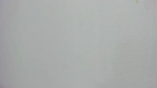 scarlett646 online show from 11.15.25