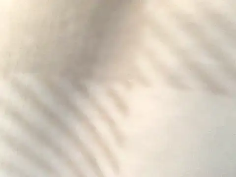 Tishrella6 online show from 09.11.25