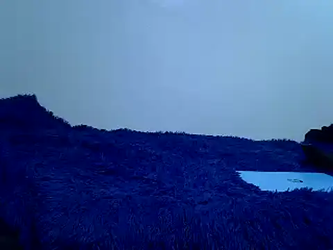 Goodwill G online show from 03.08.26